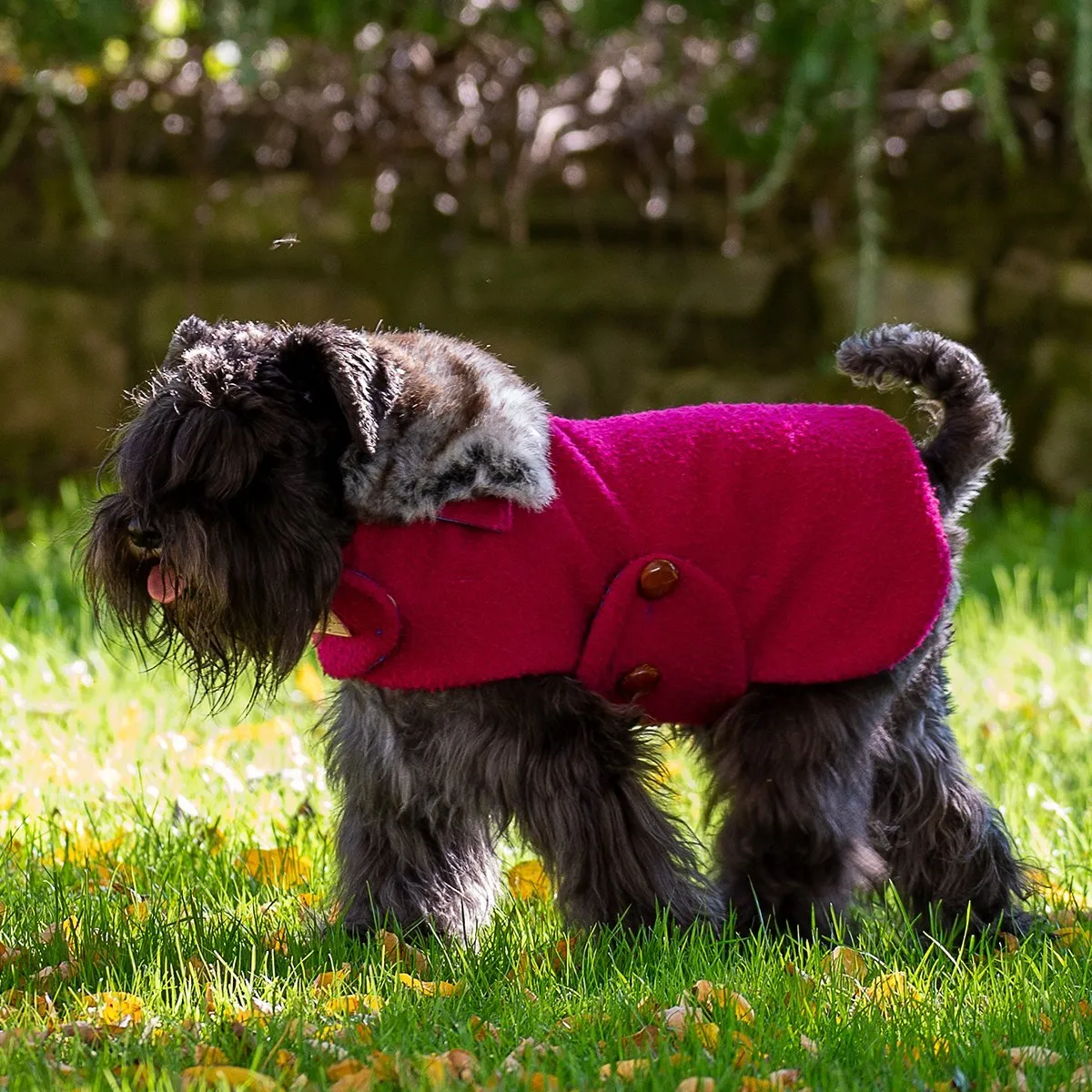 Bespoke Dog Coat/Raincoat Beet Casentino