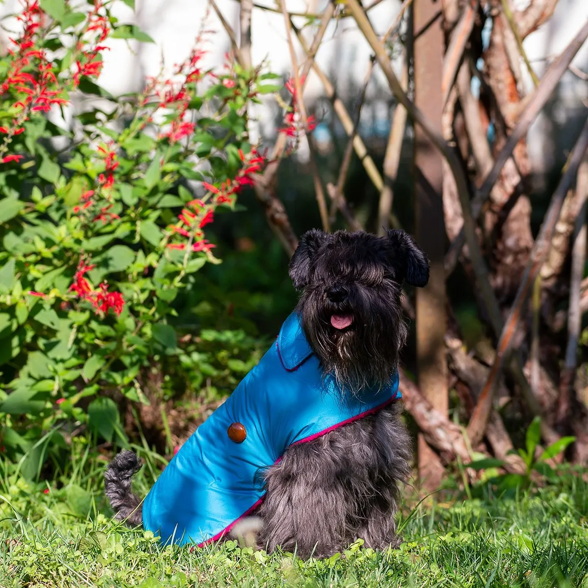 Bespoke Dog Coat/Raincoat Beet Casentino