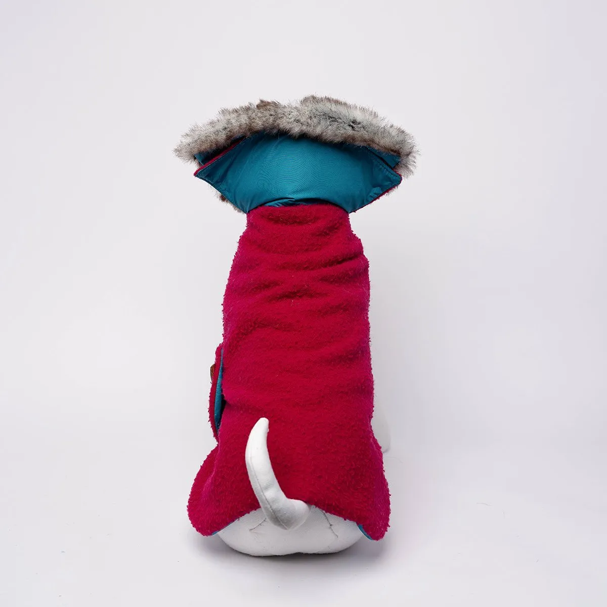 Bespoke Dog Coat/Raincoat Beet Casentino