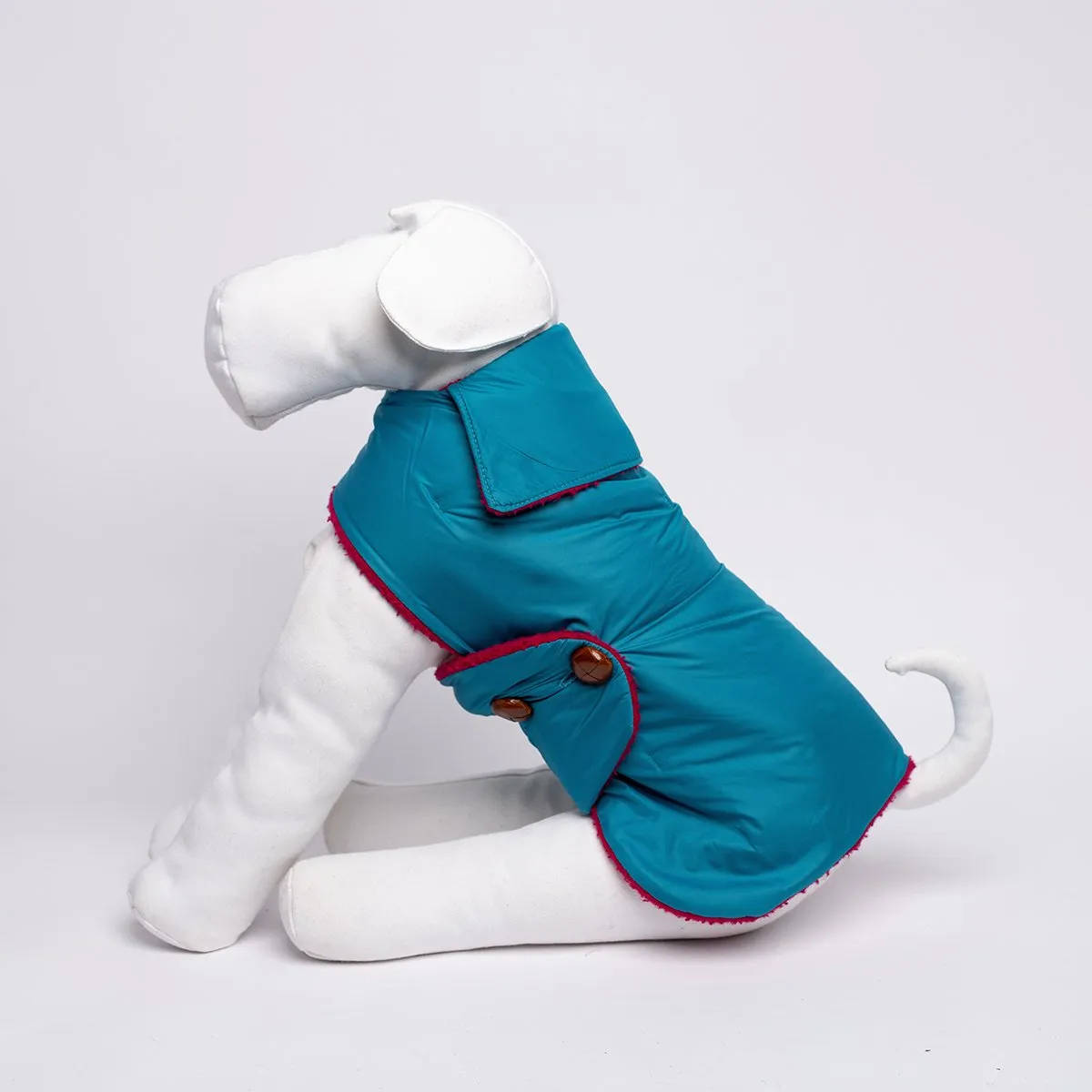 Bespoke Dog Coat/Raincoat Beet Casentino