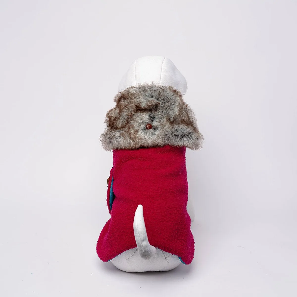 Bespoke Dog Coat/Raincoat Beet Casentino