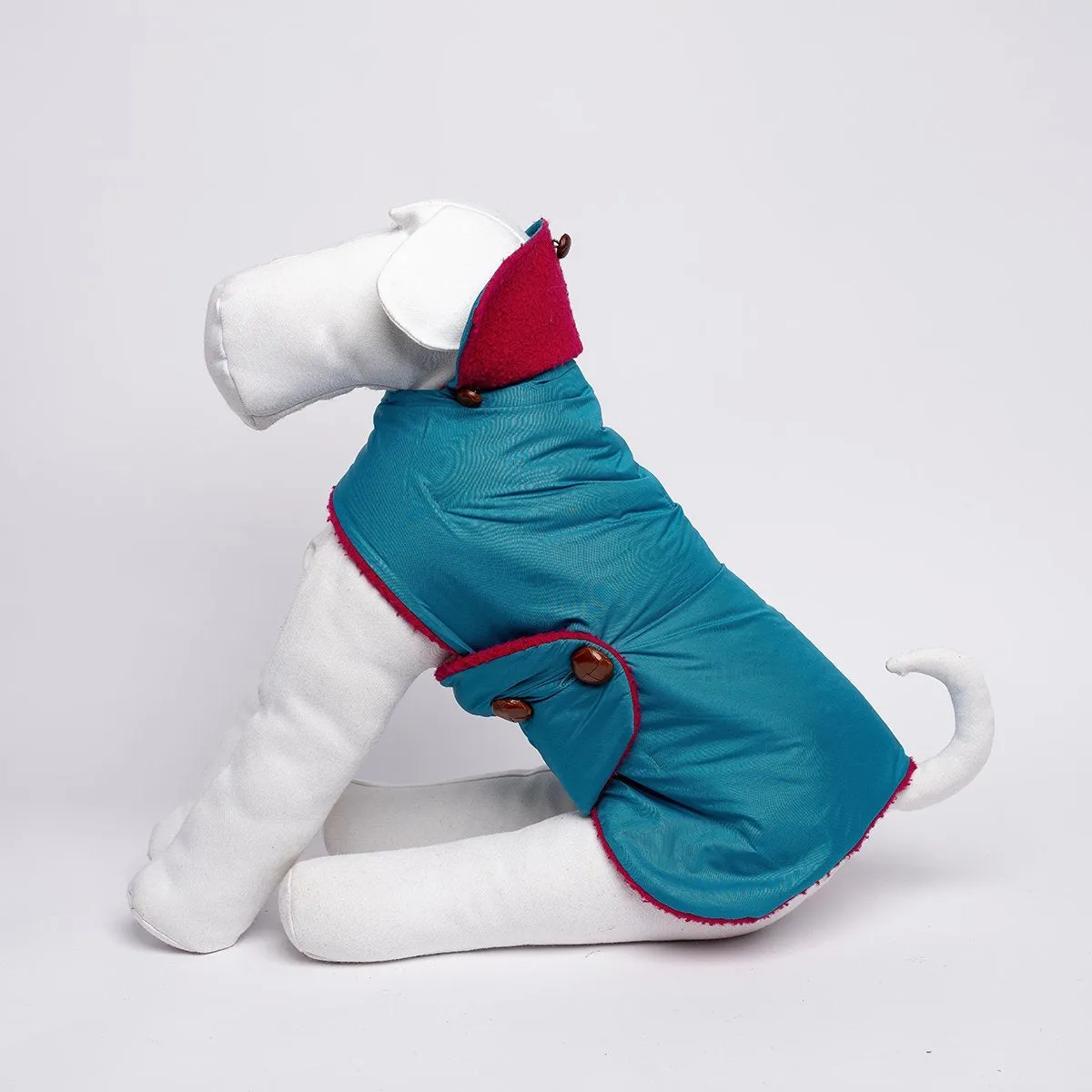 Bespoke Dog Coat/Raincoat Beet Casentino