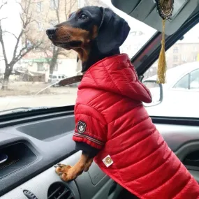 Fashion Puffer Dachshund Jacket