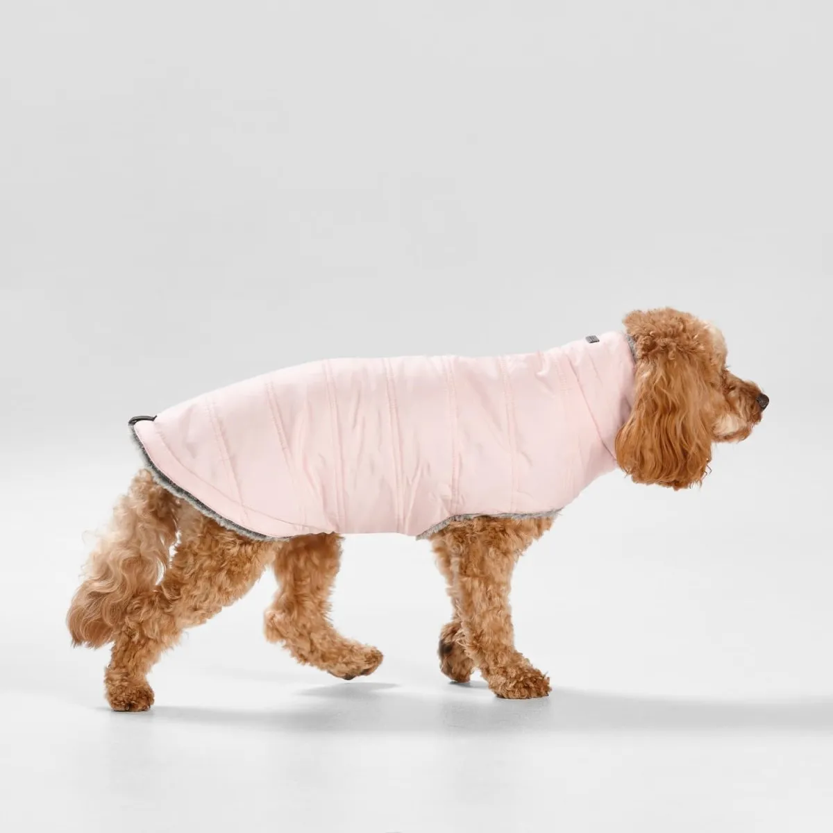 Puffer Dog Coat in Pink