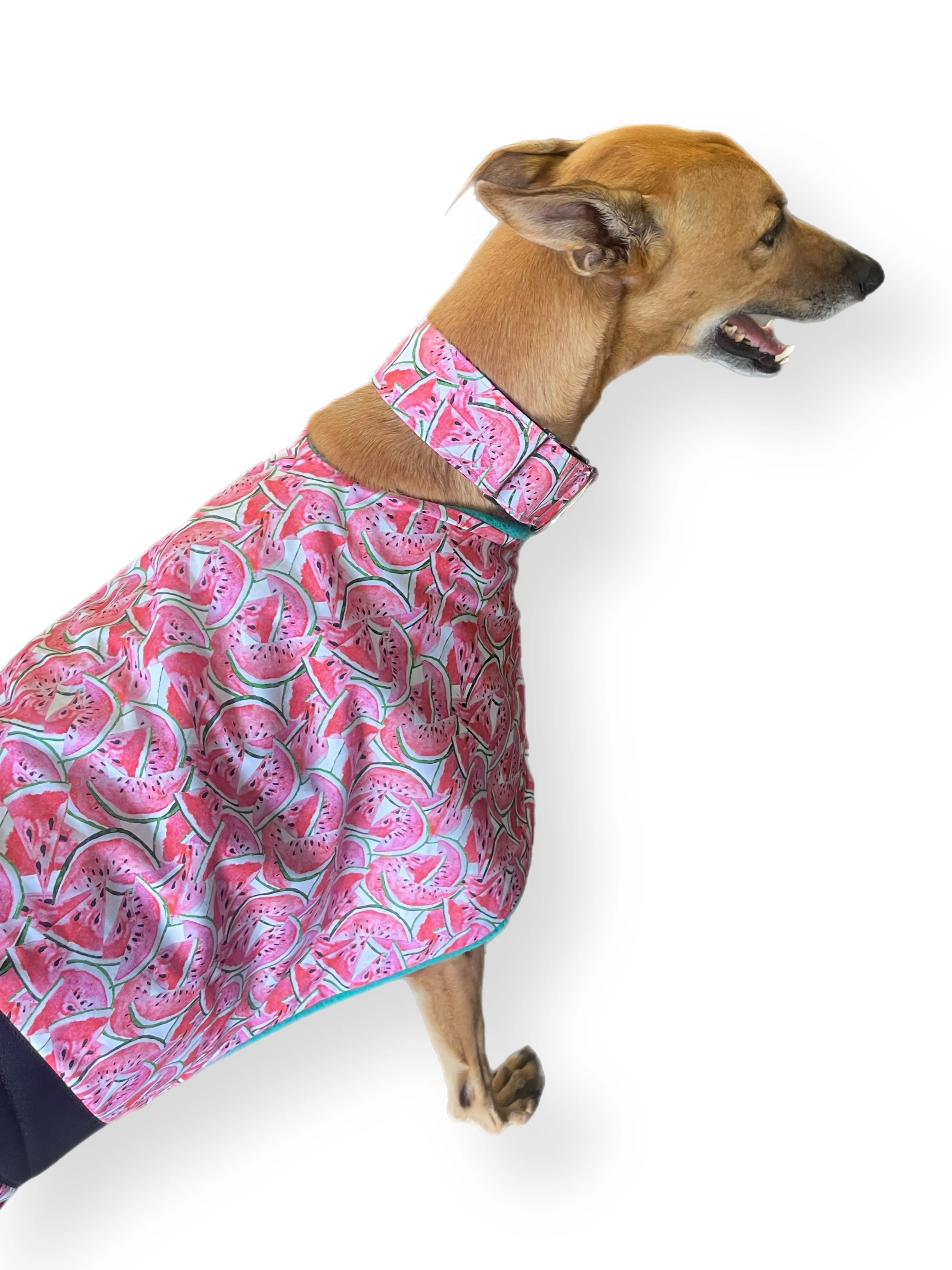 Summer/Autumn range classic style Greyhound ‘soft watermelon’ coat in lightweight cotton & plush fleece washable